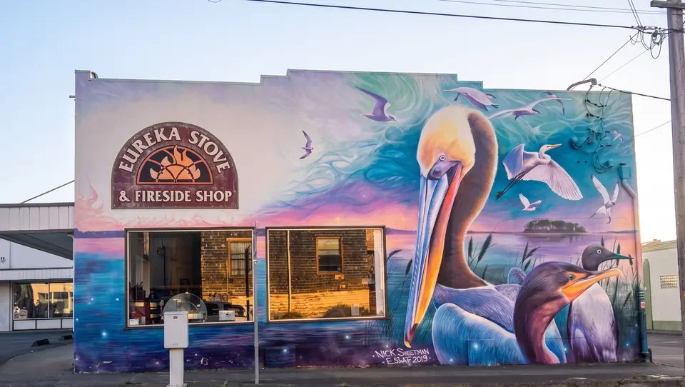 Mural of pelicans and shorebirds over the bay on the Eureka Stove & Fireside Shop