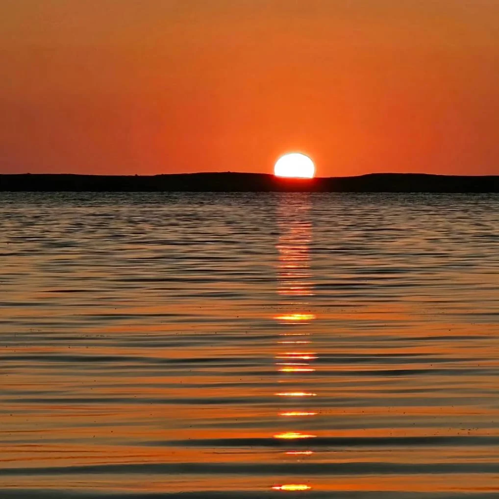 Humboldt Lagoons State Park